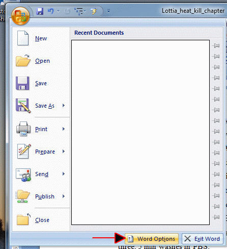 Microsoft Word 2007